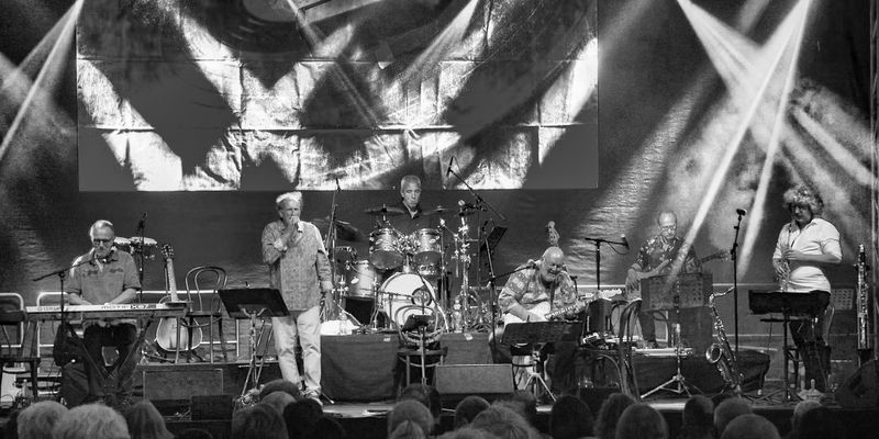 stubbeimage stubbeimage